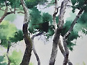 최병화수채화 소나무그리기