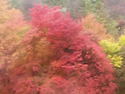 대둔산