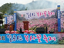 팔공산 복사꽂 축제