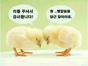 왔다가 그냥 가는겁니까?