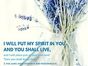(찬양곡) Song of Ezekiel (에스겔의 노래) - YOUR GREAT NAME 2013 & {에스겔 37장}