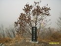 만덕산 깃대봉, 백련사, 다산초당.