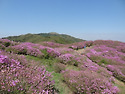 지리산 (바래봉)서리산 산..