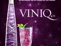 VINIQ 1차공구마감