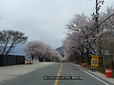 지리산 둥글레마을