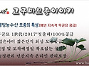 "고구마모종" 다수확으로 가는길...
