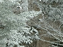 상단스킨