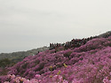 2012 고려산풍경