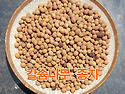 칼슘나무 씨앗