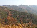 안양 호암산 가을풍경....