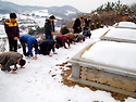 2010 설날^^