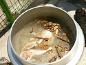 번개모임