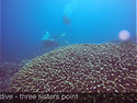 Agincourt ribbon reefs 다이빙