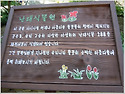*미동산 수목원(101029,금)