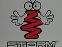 스톰(STORM) 다운스프링