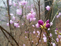 20150405 설화네에서 광덕이네로..^^