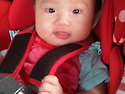 소개합니다. 나씨집안의 new face^..