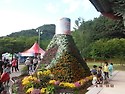 영광 불갑산,상사화축제(9/16)