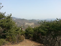 [ 陽城先塋 ] 천덕산 능골