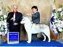 Best of Best Dogshow - BOB