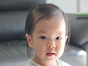 서진달력4