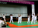 전국택견대회