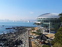 2014년1월16일 부산 동백섬