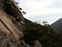 금수산 산행