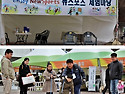 파주시생활체육 뉴스포츠 체험한마당