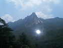 금산리 친구들 즐거운 한때