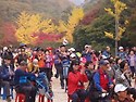 소요산야유회(소요단풍제)공연2015년1..