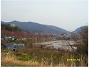 배사장 농장 견학