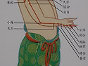 9-소장경맥의 흐름