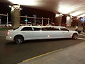 Wedding/Propose in All New ..
