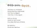 안녕하세요?? 하나님이 알려주시는 선악나무를 아시나요??