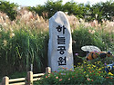 상암동 갈대밭에서~~