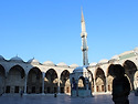 [I love turkey] 신비..