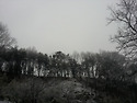 겨울밤