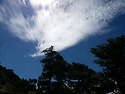 구름이 이상타