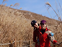 화왕산