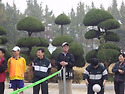 2010년 11월 체육대회