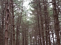 호명산 등반 2(2013. 3. 30)