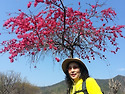 2014년 4월6일 철마산-망월산 산행