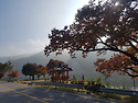 영월 동강 만추