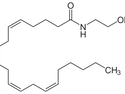 카나비노이드 cannabinoid