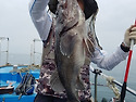 개우럭 53cm