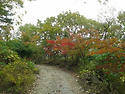 2016. 10. 29. 토. 서운산 산행