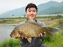 명문 54.9cm 대물붕어