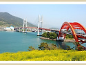 삼천포대교 유채꽃,케이불카