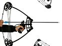 Triangle Compound Bow 50lbs